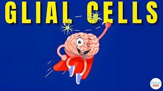 What are Glial Cells: Definition, Types, Functions of Glial Cells | Role in Psychology