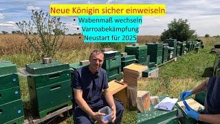 neue Bienenkönigin sicher einweiseln/Wabenmaß wechseln/Varroa bekämpfen