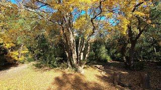 Les Gorges de Régalon, une rando balade en Luberon