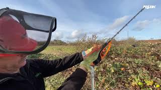 Pellenc Helion Alpha Battery Hedge Trimmer Demonstration