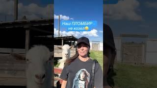 ️ #одесскаяобласть #бессарабия #украина #напозитиве #измаильскийрайон