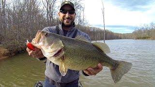 Pre-Spawn Bass Fishing with a Square Bill Crankbait (SURPRISE TIGER MUSKIE!!!)