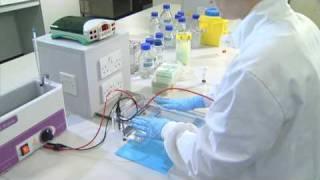 Running an Agarose Gel - University of Leicester