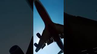 Biggest Cargo SF Airline Aircraft Excellent Landing #shorts #planes #trending #viral #videos #2022