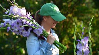 Succession Planting Cut Flowers - A Complete Guide // Northlawn Flower Farm