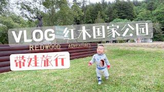 【VLOG - 北加國家公園Road Trip 1】红木国家公园，住小木屋，看鹿ELK，爬山看海，测试无人机