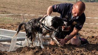 Hard Dog Race 2016.10. 01. Piliscsév - official HDR after video