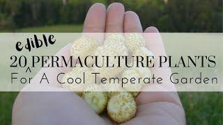 20 Permaculture Plants For An Edible Cool Temperate Garden #permaculture #permacultureplants