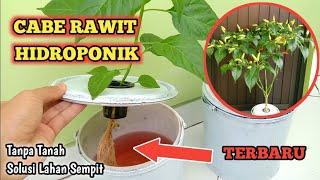 Cara Menanam Cabe Rawit Hidroponik Sederhana | Agar Cabai Berbuah Lebat | How to Grow Chili