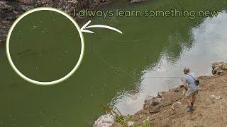 Always learn something new (sight fishing)