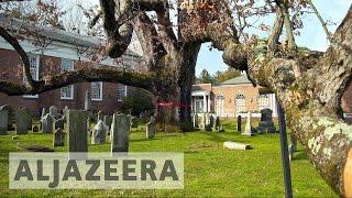 America's oldest oak tree to be cut down