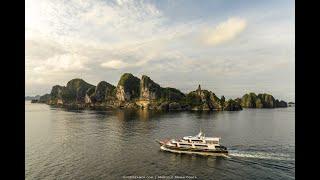 Ring of Fire Diving 2022- Maumere-Alor-Banda Sea-Raja Ampat Cruise with Mermaid Liveaboards II