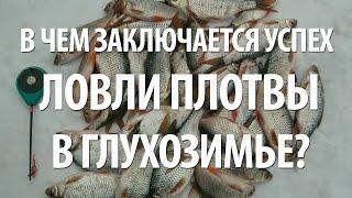 ЗИМНЯЯ РЫБАЛКА на ПЛОТВУ в ГЛУХОЗИМЬЕ на МОРМЫШКУ