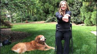 10 minute seated stretching for everyone!  Bailey the dog supervises whole time!