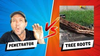 Blocked Drain 7 - The Ultimate Drain Battle: Penetrator Vs Tree Roots