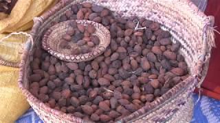 The Production of Argan Oil