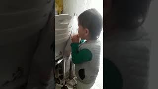 Açlık çok kötü bir şey- Miraç Akuran