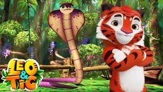 LEO and TIG   The Snake Charmer  NEW EPISODE  Moolt Kids Toons Happy Bear