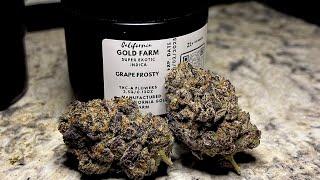 California Gold Farms Grape Frosty Flower, THCa review!