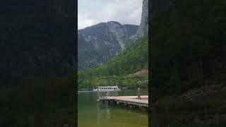 Austrian nature pure cine #nature #austria #shorts #shortvideo