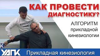 Диагностика методами прикладной кинезиологии (Г.Кирдогло)