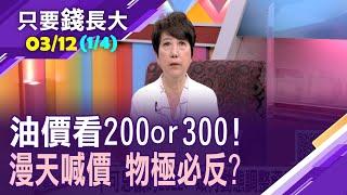 【急漲又急跌!原物料行情將物極必反?不可思議的2022年!如何動態調整資產配置?】20220312(第1/4段)只要錢長大*鄭明娟(林奇芬X朱岳中)