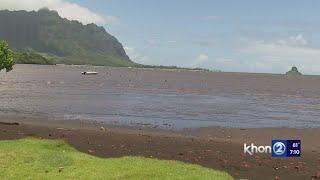 Report: Two Hawaii beaches among most polluted in the country
