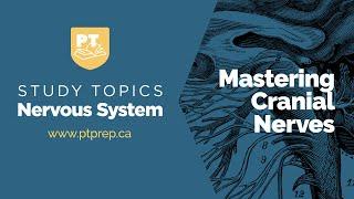 Study Topics: Mastering Cranial Nerves