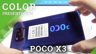 POCO X3 Color Presentation