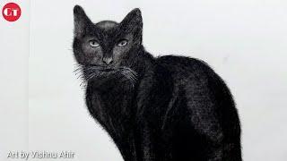 How to Draw Realistic Cat for Beginners | cat drawing by Vishnu Ahir