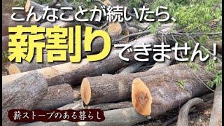 【薪集め】これはやばい！十年に一度？薪割り作業を阻む魔物に遭遇！/薪作り/薪ストーブ/薪割り/山師のアドバイス　vlog.112