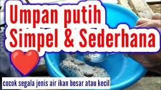 Umpan Putih rebus Simpel sederhana buat Langsung untuk mancing...ikan turun besar besar...?!