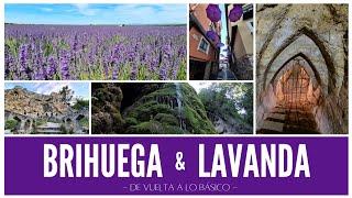 BRIHUEGA Y LAVANDA: planes para una escapada de 2 días con niños