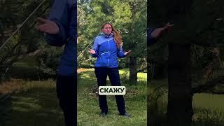 Эти растения любят осеннюю посадку!