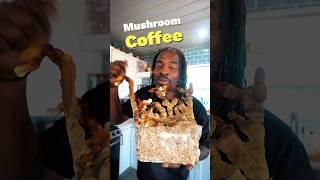 Make mushroom coffee with me! #northsporepartner #mushroom #reishi