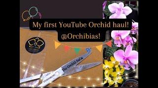 Let's unbox my 'YouTube Orchids' from Orchibias Germany! :D