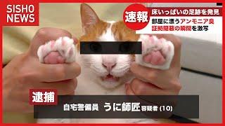 【極悪】おしっこバラまき事件の主犯格を逮捕しました！【関西弁でしゃべる猫】【猫アテレコ】