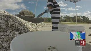 Video: Brevard County inmates to help keep Indian River Lagoon clean