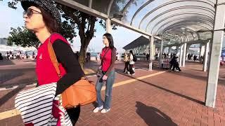 Central ferry Pier Hongkong Adventure December 22,2024 (19:37)