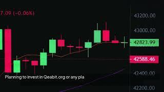 Qeabit.org Review – Is It a Legitimate Trading Platform?