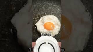 Egg Over Rice Bowl