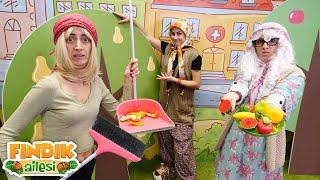 Komik video!  Fındık ailesi meyve çekirdekleri ile ne yapıyor?