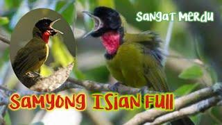 Samyong Gacor Full Isian || 1001 Suara Alunan Lagu Mewah