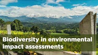 Biodiversity in social and environmental impact assessments