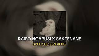 LAGU JAWA RAISO NGAPUSI X SAKTENANE ( SPEED UP X REVERB )