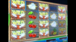 Coconut craze (Synot) slot machine bonus - free spins