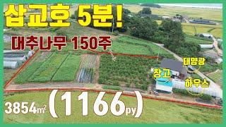 (전0926)당진전원주택 매매 ** 신평면 삽교호 인근 1166py 넓은 토지와 신축4년차 깨끗한 단독주택 ** 대추나무 150주** 당진농가주택매매