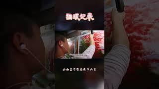 临摹梵高的画20年，却从没看过梵高的真迹，纪录片