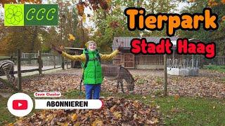 [CCC]Tierpark | Haag | Niederösterreich | Ausflug