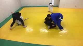 BJJ Sparring Match with Commentary 14 (スパーリング)